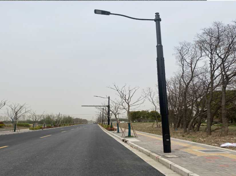 延平区上海综合杆 太阳能路灯工程